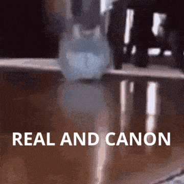 a blurred image of a person with the words real and canon below them