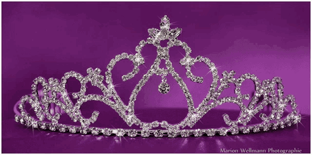 a tiara on a purple background is photographed by marion wellmann
