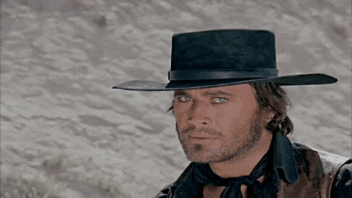 a man with a beard wearing a black hat and a brown vest