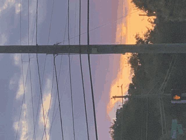 a sunset is reflected in the telephone poles and trees