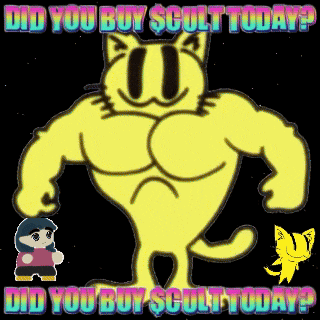 a yellow cat with muscles is asking if you bought sculpt today
