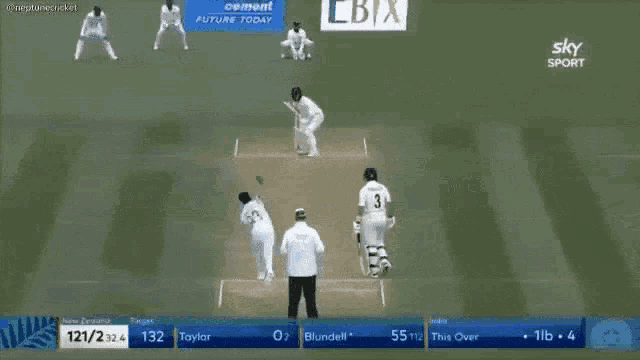 a cricket game is being played on a sky sport screen