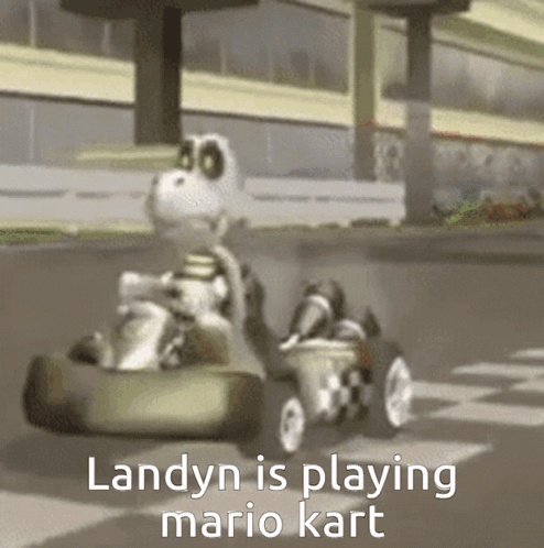 Mario Kart Dry Bones GIF