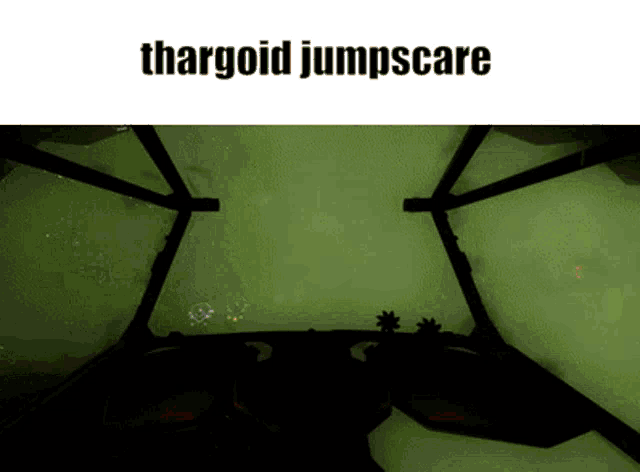 a screenshot of a video game with the words thargoid jumpscare above it