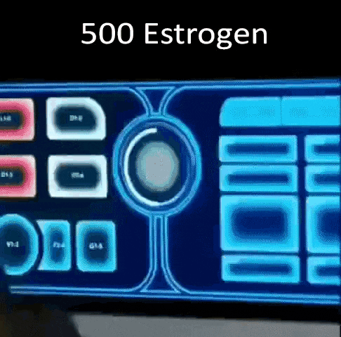 a computer screen with the words 500 estrogen on the bottom