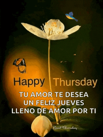 a picture of a flower with a butterfly and the words happy thursday