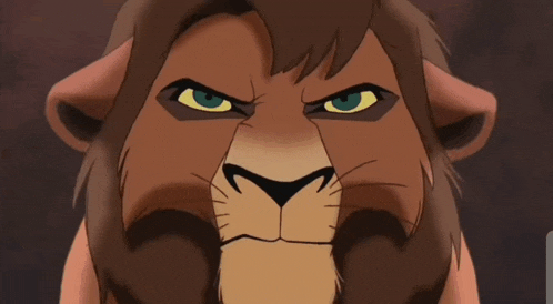 a close up of a lion 's face with an angry look on his face