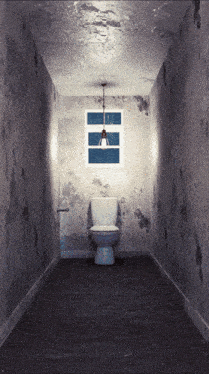 a bathroom with a toilet and a window hanging from the ceiling