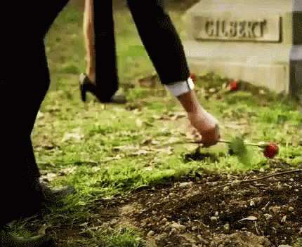Rose Funeral GIF - Rose Funeral GIFs