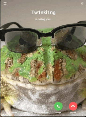 a frog wearing glasses is on a phone call with tw1nkl1ng
