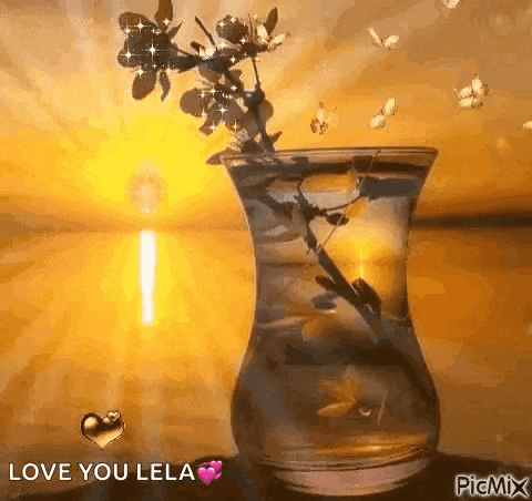a vase filled with water and flowers with the words `` love you lola '' on it .