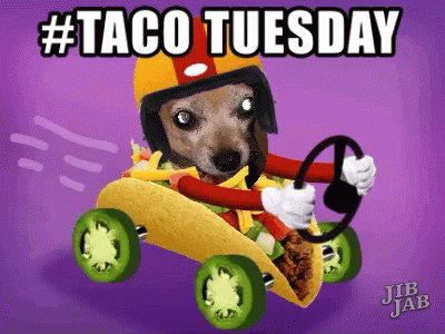 Taco Tuesday Happy GIF - Taco Tuesday Happy Tacos GIFs