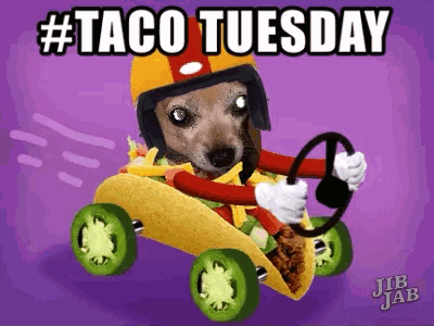 a dog wearing a helmet is driving a taco with the words #taco tuesday above it