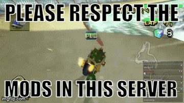 Please Respect The Mods In This Server Mario Kart GIF - Please Respect The Mods In This Server Mario Kart Mkw GIFs