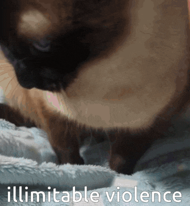 a cat is laying on a blanket with the words " illmitable violence " written below it
