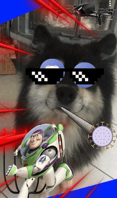 a picture of a dog wearing sunglasses with buzz lightyear in the foreground