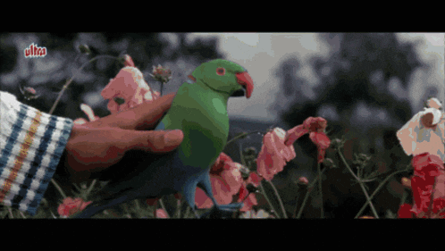 a green parrot is being held in someone 's hand with the word ultra on the bottom left