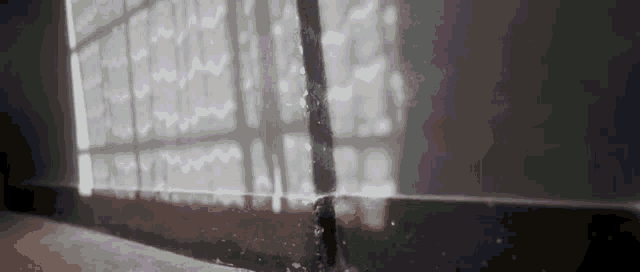 a person is standing in front of a window with a shadow of a tree on the wall .