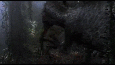 a couple of dinosaurs are standing next to each other in a forest .