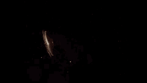 a close up of a person 's hair against a dark background