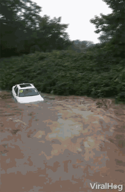 Flood Gushing GIF - Flood Gushing Car GIFs