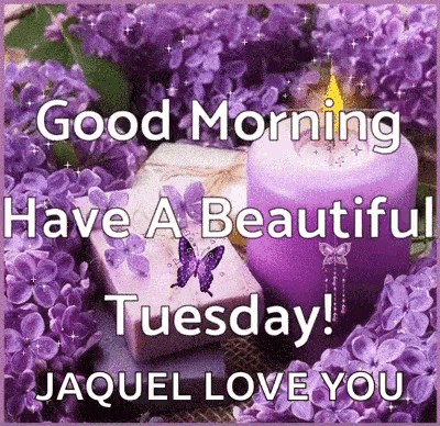 a good morning have a beautiful tuesday !