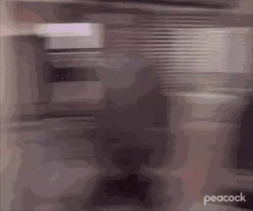 a blurred image of a peacock logo on the bottom right