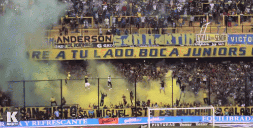 Boca Juniors Campeon GIF