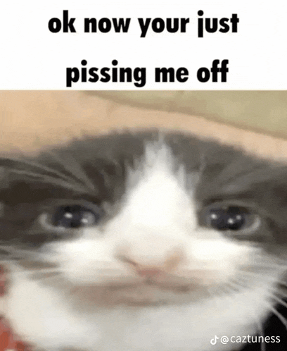 a close up of a cat 's face with the words `` ok now your just pissing me off '' written on it .