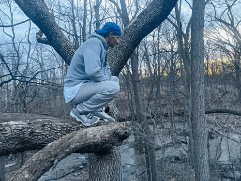 a man in a grey hoodie sits on a tree branch in the woods