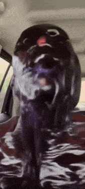 a close up of a person 's face with a bird 's head sticking out of it
