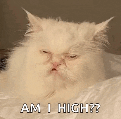 a white cat is laying on a bed with its eyes closed and a funny face .