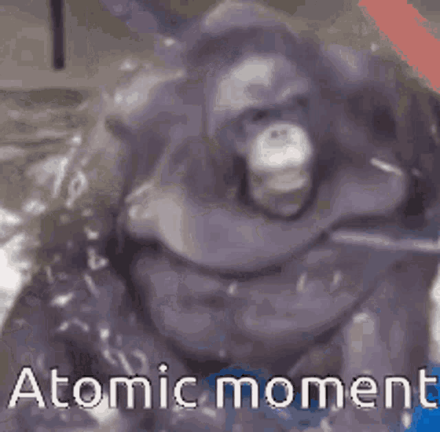 Atomic Moment GIF - Atomic Moment Mle GIFs