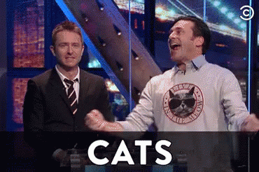 Passionate About Cats GIF - Jon Hamm Cats I Love Cats GIFs