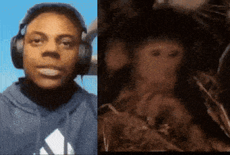 Speed Monkey Try Not To Laugh GIF - Speed Monkey Try Not To Laugh GIFs