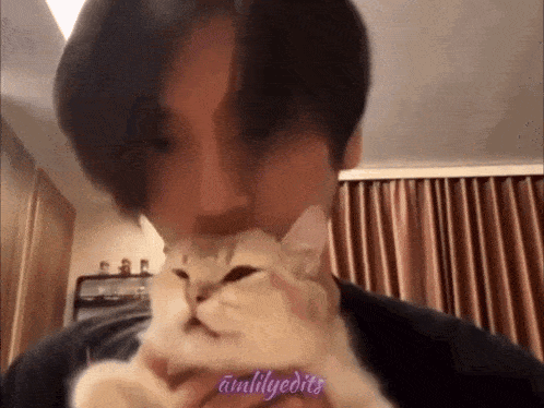 a man is holding a cat in front of his face with the words amlilyedits on the bottom right