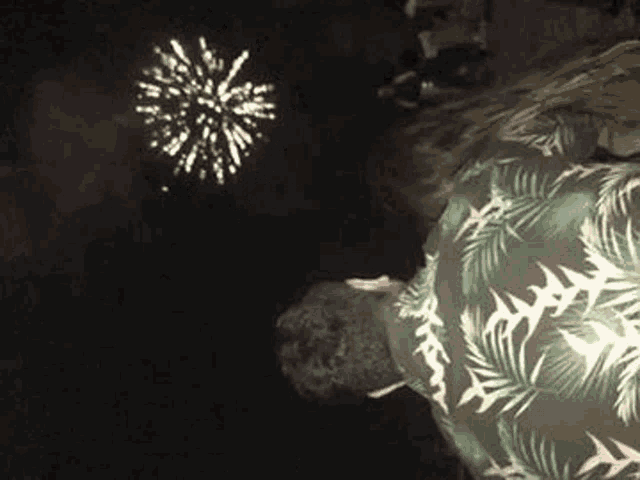 a man in a hawaiian shirt is watching fireworks .