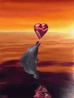 a dolphin is blowing up a heart shaped balloon in the ocean