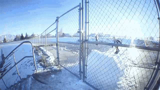 Fence Snowboard GIF - Fence Snowboard Grind GIFs