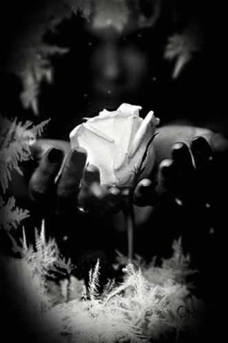 Rose Hands GIF - Rose Hands Snowing GIFs