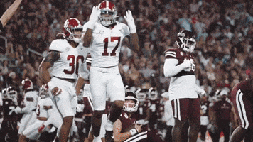 a football player with the number 17 on his jersey is celebrating with his teammates .