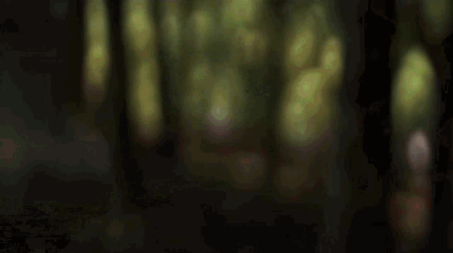 a close up of a person holding a rope in a dark forest