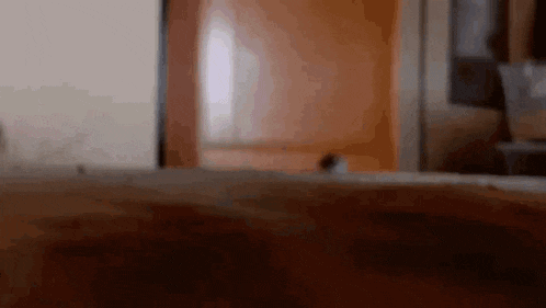 a blurred image of a person standing in front of a door in a room .