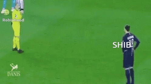 Shiba Inu Shiba GIF - Shiba Inu Shiba Zlatan GIFs