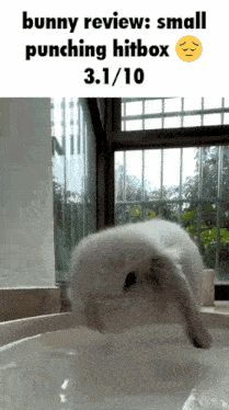 a picture of a bunny with the caption bunny review small punching hitbox 3.1/10