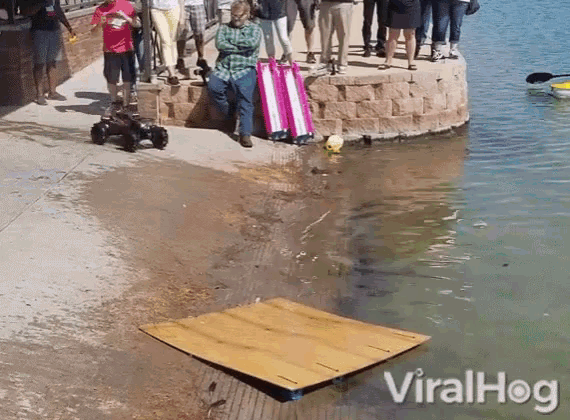 a group of people standing on a dock next to a body of water with the words viralhog on the bottom right