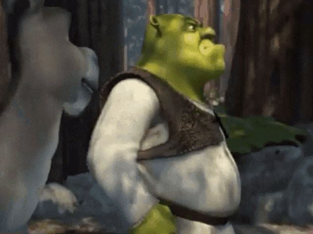 shrek is standing next to a donkey in the forest
