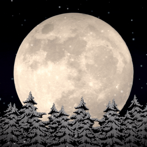 a full moon is behind a snowy forest