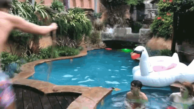 a group of people are playing in a pool with a swan float