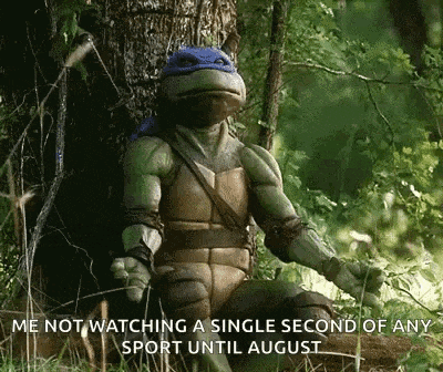 leonardo the teenage mutant ninja turtle is sitting under a tree